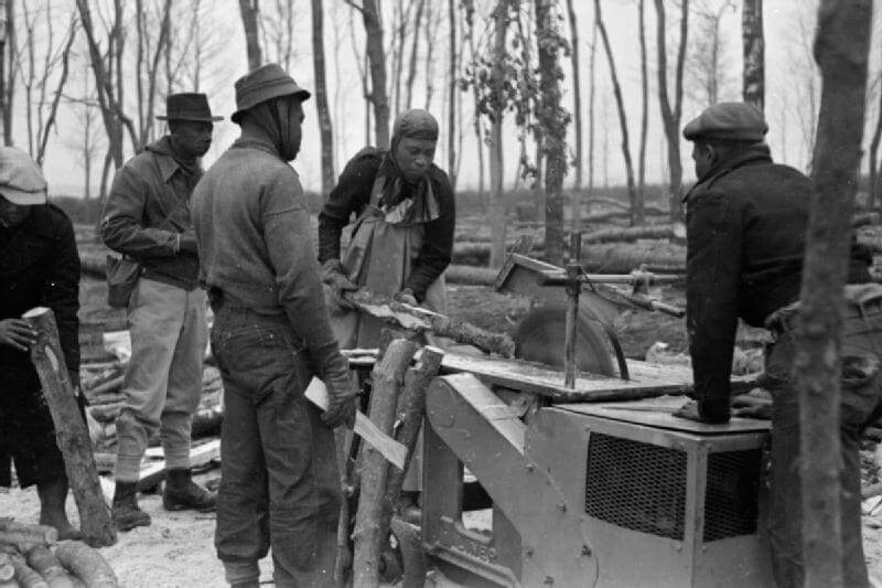 The British Honduras Forestry Division logging trees in Britain, 1941. Image: Ministry of Information Photo Division Photographer, Public domain, via Wikimedia Commons
